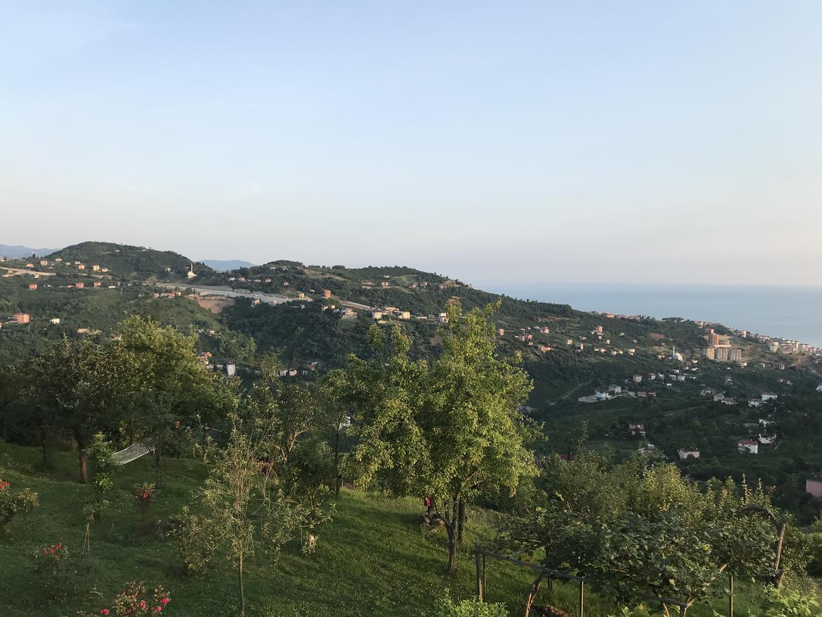 Sea & Nature Villa Hisar Trabzon Exteriör bild