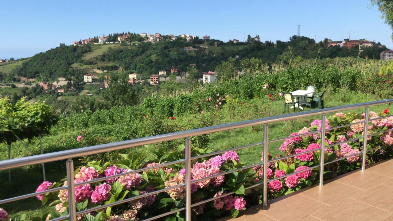 Sea & Nature Villa Hisar Trabzon Exteriör bild